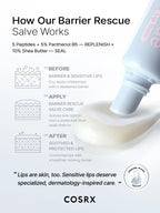 5 Peptide B5 Sensitive Repair Salve Lip Balm